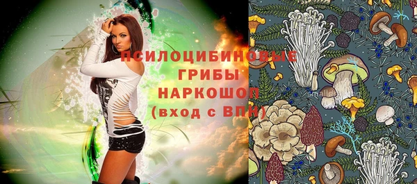 МДПВ Балахна