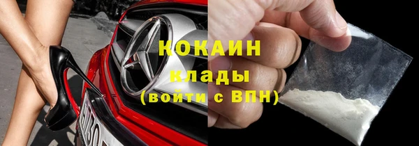 шишки Баксан