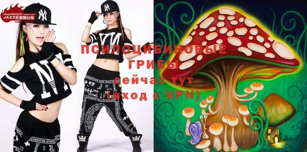 МДПВ Балахна