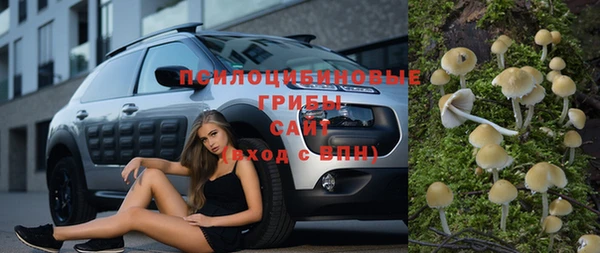 шишки Баксан