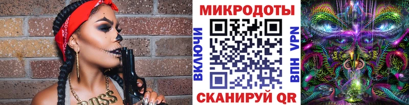 Галлюциногенные грибы Psilocybe  Власиха 